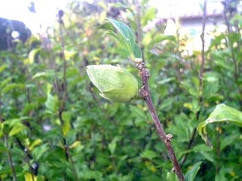 �餭����ä�����˼郎�Ǥ��Ƥ��ޤ�