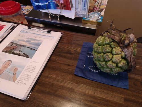 �ܸ��礫��������ä��֥�����μ¡�