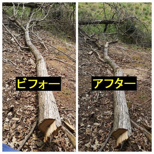 �ڤ����򸫶ˤ���ڤäƤ����ޤ�������