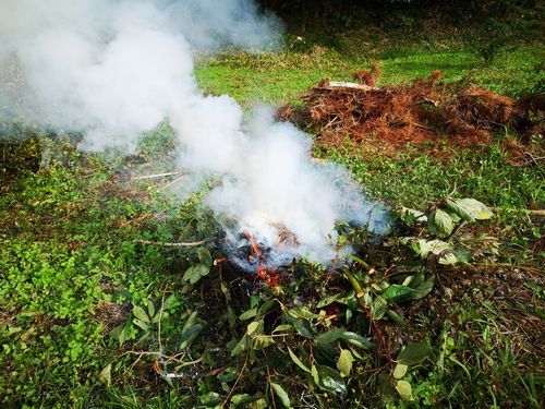 ̵±ìú²½´ï½Ðư¤Ç¤¹