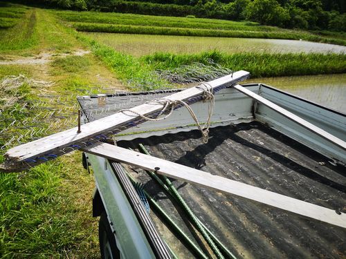 �ӥ˥ڥåȥ��ץ�󥰤����ĥ�ä�ȯ�ꤷ��������⤭�夬�餻�ޤ�