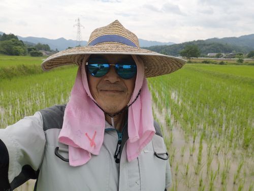 �Τ��β���夲���Τ��⤷��ޤ���