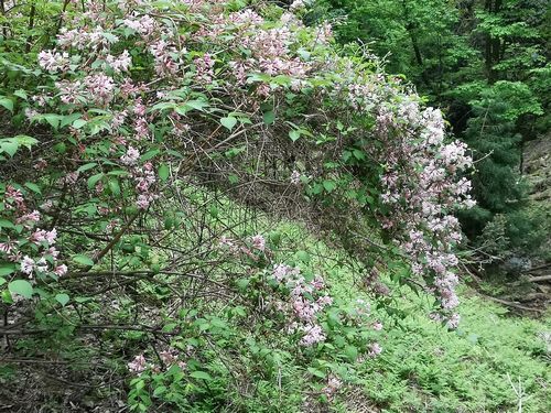 ë������¿���餭���ڤ��濴�����������