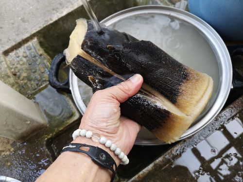 ��Τޤ�觤ǤƤ��ޤ�