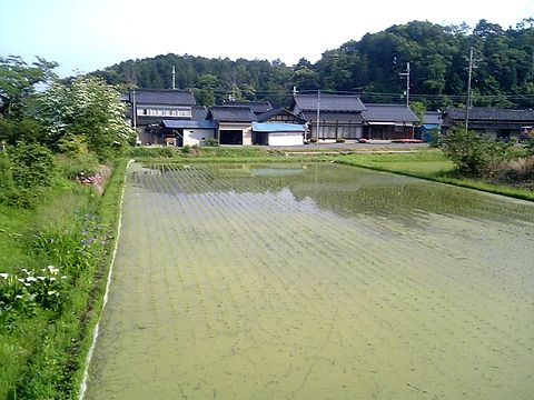 ��������Ŀ������飱�����Ф��ޤ�����