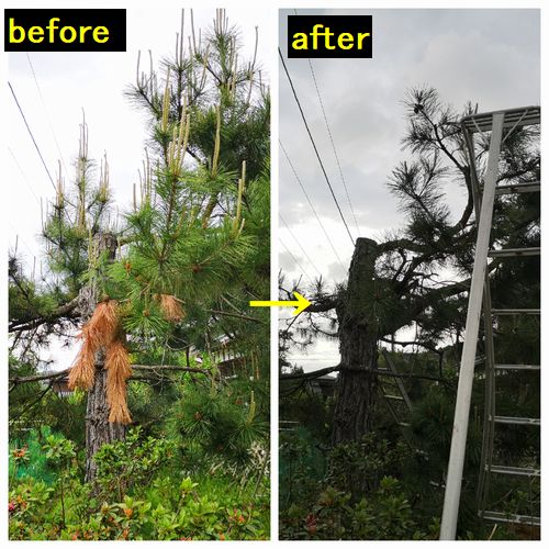 �Х��Х��ڤäƥ��å��ꤷ�ޤ���������������