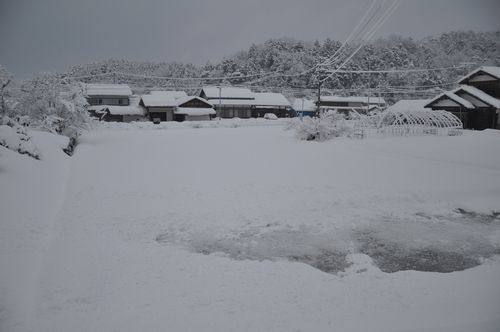 ��������ī���ߤ�³������Ǥ��䤸���Ĥ�ܤ�