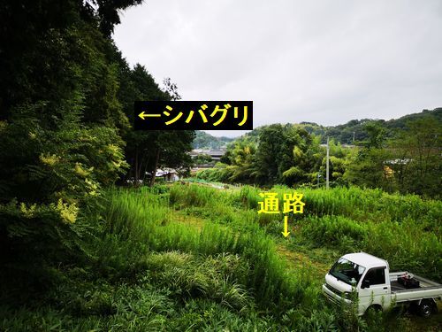 ��Ȫ���鸫����������