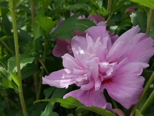�९�����餭�Ϥ�