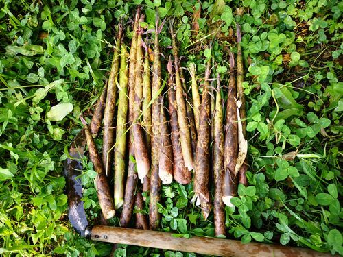 �������