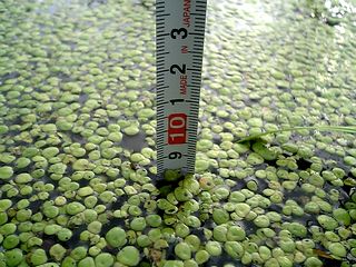 �忼�������