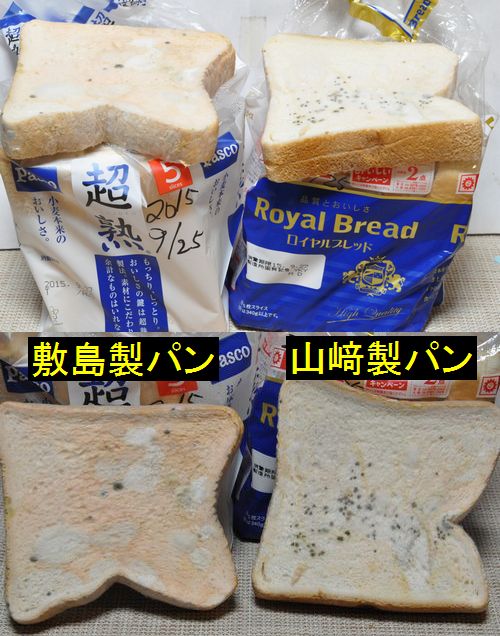 ��������˺��ٳ�ǧ���ޤ���