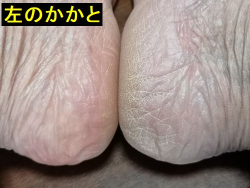 �����֥��ꥢ���륲��⥤�����奢�饤�����פ�