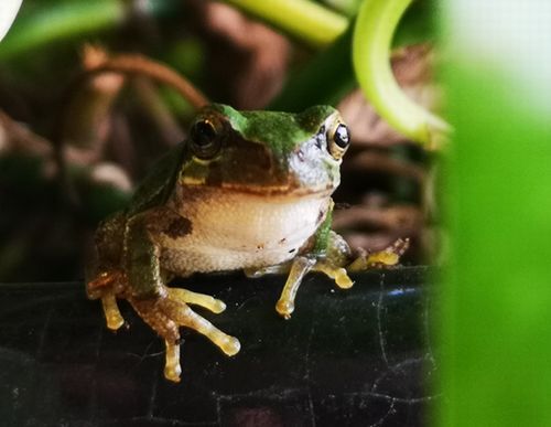 ¤¸¤Ã¤È»ä¤ÎÊý¤ò¸«¤Æ¤¤¤Þ¤·¤¿