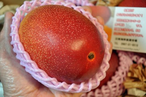 �夤�����δ��ϥޥ󥴡��ϲ���ϥϥ꤬���äƱ𤬤���ޤ���