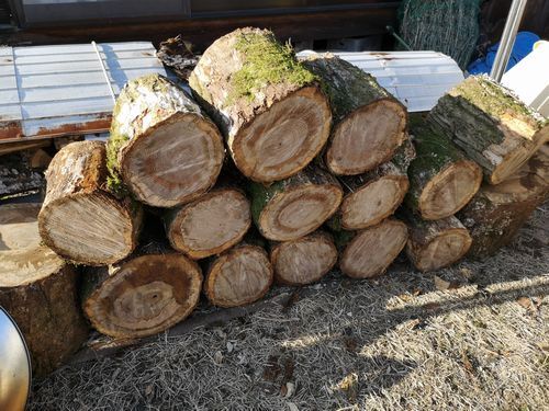 �������ä����ڤϤ������