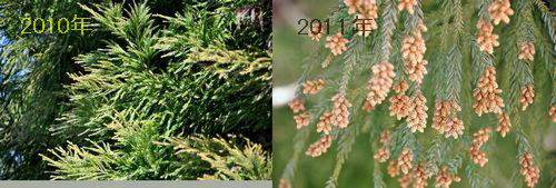 ��ǯ�ʼ̿����ˤ������־��ʤ��褦�Ǥ���