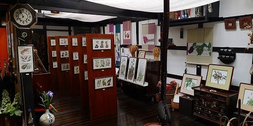 Éô²°¤ÎÃæ¤Ï