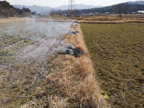 �����С��ʡ��ǽ꡹�˲Ф�Ĥ���