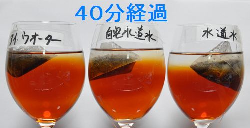 ����ʬ�в�