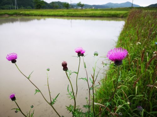 �Ĥ�ܤ��ʤ��饢���ߤ����礷�Ƥ��ޤ���