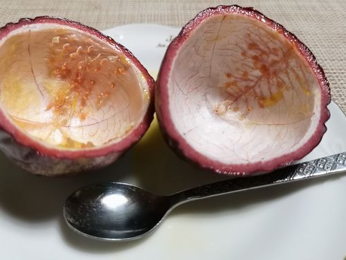右の方は食べた後が奇麗です