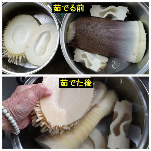 �������ˤ�