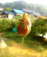 �����룳