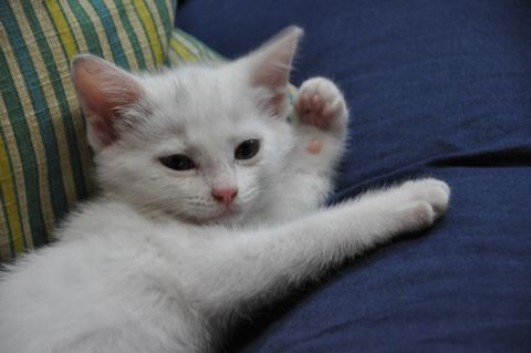 ?���ֲ��������פ��ܤ�Фޤ��ޤ���