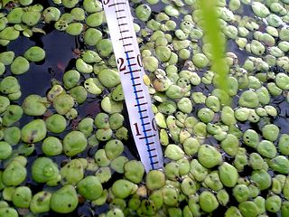 �岹������