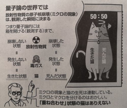 ǭ������Ϸ��ꤷ�Ƥ��ʤ�