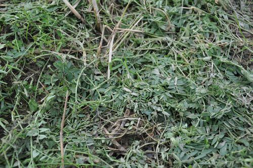 �إ��꡼�٥å��ϡ�����