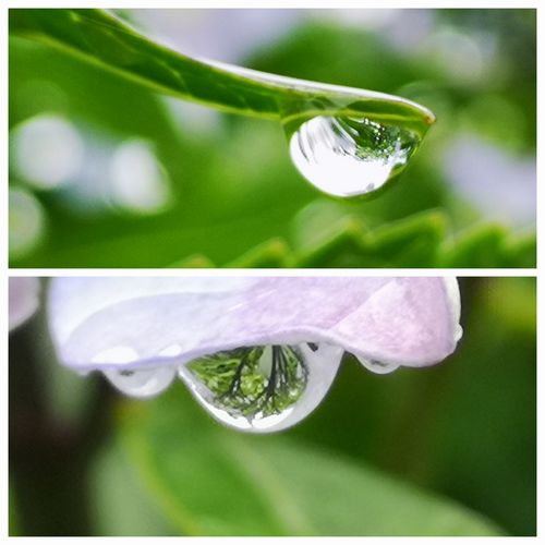 ����줬�������Ǥ�