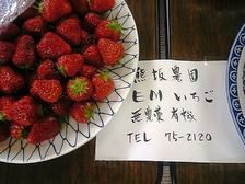 EM���ݤΥ�����