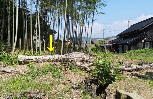 �����ܤΥ��䥭�λ����Ф������˼��ݤ���ޤ���