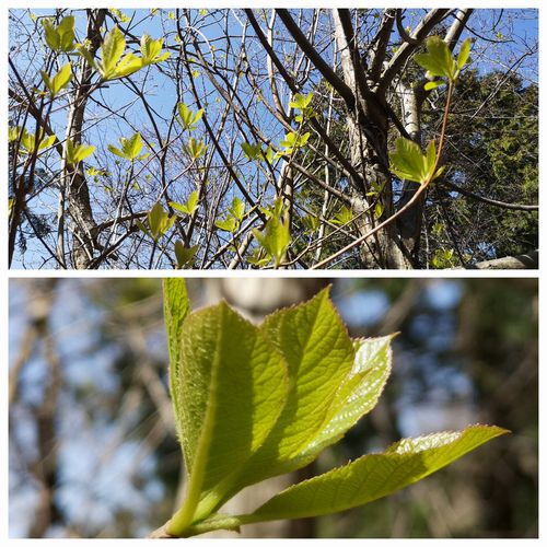 ��祦�֤��դ������Ϥ�ޤ���