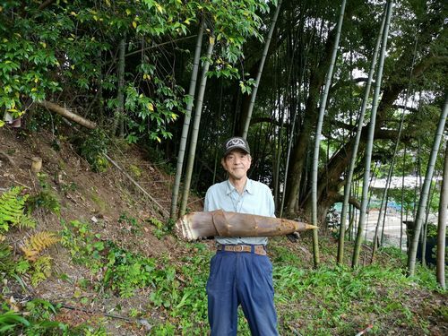 ������ˤϣ����������Ķ����