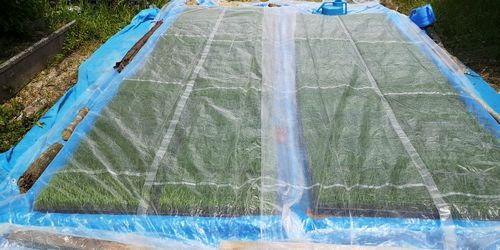 ¥ï¥ê¥Õ¤ò¤Ù¤¿³Ý¤±¤Ë