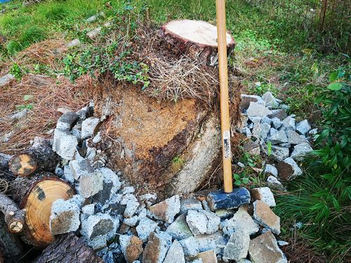 ÅڴɤÎÇ˲õ¤Ï´°Î»¤·¤Þ¤·¤¿