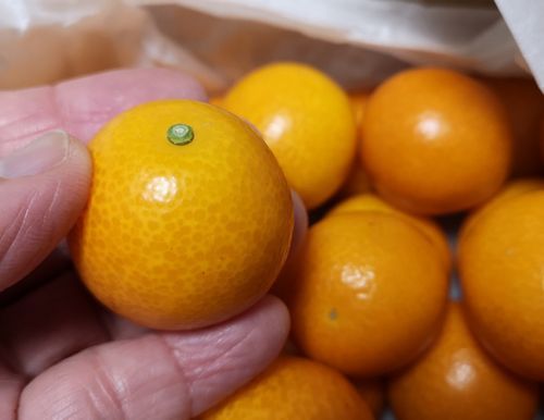 �ҤȤĤҤȤ���ǫ��