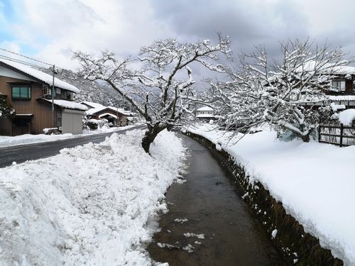 �㲽�Ѥξ���Ϲ����ʷʿ��Ǥ�