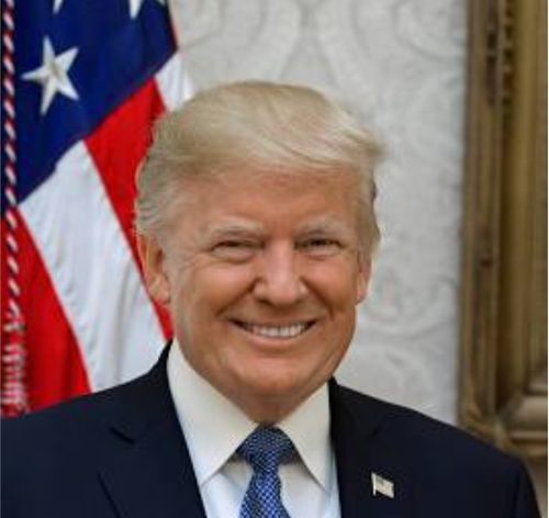 ���������Ρ�ͽ��ˤΥȥ��פ�