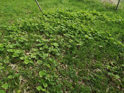 �ե��������Ƥ��ޤ�