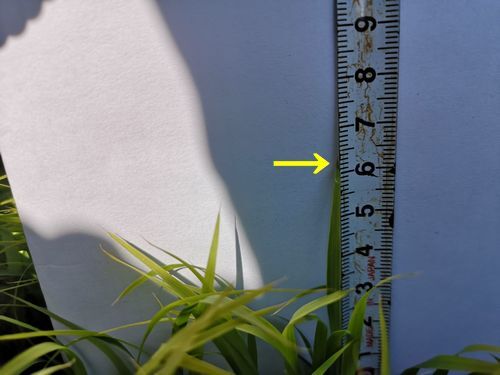 ����Ĺ���դǣ����ѤˤʤäƤ��ޤ�������������