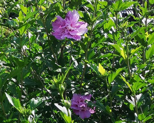 �९�����餭�Ϥ�ޤ���