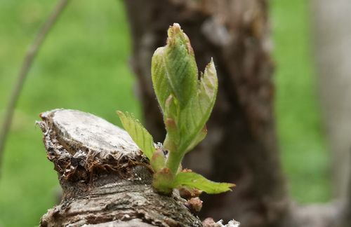 ���꤬���ӤϤ���Ƥ��ޤ���