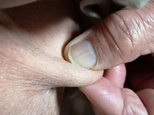 ��Τ�ʢ����˻��äϤ���ޤ���