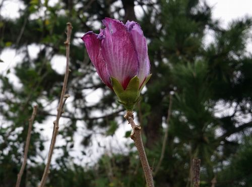 �९�����餭�����ޤ���