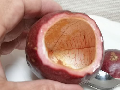 ���ס���Ǵ���˿��٤��ޤ�