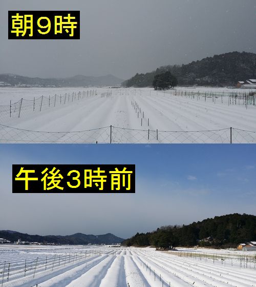 ���Ϥ���ŷ���Ǥ���